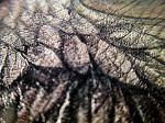     
: IMG_408а6.jpg
: 13
:	287.7 
ID:	11982388