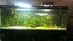     
: 2013-04-01 22.27.48.jpg
: 12
:	98.8 
ID:	11982783