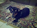     
: 70vekIJmnLg.jpg
: 10
:	228.1 
ID:	11982997