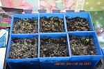     
: DSC_0323.jpg
: 27
:	201.1 
ID:	11983412