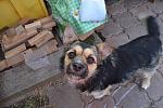     
: DSC_0018.jpg
: 8
:	106.3 
ID:	11986122