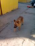     
: 0-02-05-ca24da126b94a379f6fb37801d8acbc3c2207cb24d6e8cf1f08c0eeda116f7a2_full.jpg
: 11
:	52.7 
ID:	11987179