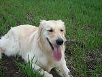     
: DSC01989.jpg
: 18
:	214.8 
ID:	1198746