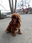     
: IMG_20170410_144631.jpg
: 18
:	108.1 
ID:	11987914