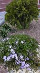     
: IMG_20170411_164530.jpg
: 6
:	144.9 
ID:	11988497