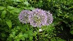     
: IMG_20160510_194941.jpg
: 13
:	188.5 
ID:	11989114