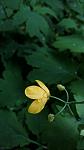     
: IMG_20160510_195336.jpg
: 12
:	52.2 
ID:	11989116
