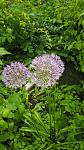     
: IMG_20160510_194850.jpg
: 16
:	123.2 
ID:	11989117