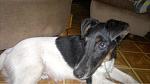     
: IMG_4238-12-04-17-11-14.jpeg
: 17
:	141.0 
ID:	11989845