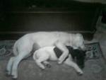     
: IMG_4239-12-04-17-11-15.jpeg
: 20
:	31.8 
ID:	11989846