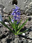     
: P70412-115145.jpg
: 7
:	201.4 
ID:	11989882
