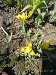     
: P70412-114756.jpg
: 6
:	191.4 
ID:	11989884
