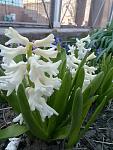     
: P70412-114727-05.jpg
: 6
:	95.4 
ID:	11989892
