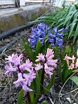     
: P70412-114711-05.jpg
: 4
:	132.9 
ID:	11989895
