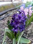     
: P70412-114634-07.jpg
: 4
:	75.8 
ID:	11989896