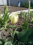     
: P70412-114503.jpg
: 4
:	147.9 
ID:	11989899
