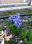     
: P70412-114444.jpg
: 4
:	151.4 
ID:	11989916