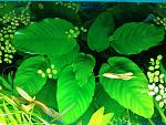     
: IMG_20170218_155843 (1).jpg
: 6
:	151.5 
ID:	11990626
