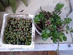     
: 20170411_093638.jpg
: 83
:	150.6 
ID:	11994548