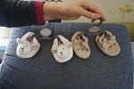     
: DSC08596.jpg
: 10
:	176.2 
ID:	11995304