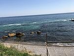     
: IMG_1277.jpg
: 21
:	257.9 
ID:	11996557