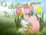     
: 53860257.jpg
: 12
:	41.4 
ID:	11996667