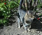     
: 150420175295s.jpg
: 101
:	305.0 
ID:	11996900