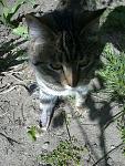     
: 150420175300s.jpg
: 100
:	187.6 
ID:	11996902