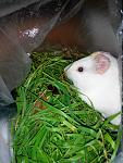     
: 20161126164536.jpg
: 20
:	105.4 
ID:	11997758