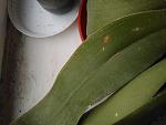     
: IMG_20170418_112625.jpg
: 15
:	105.4 
ID:	11999059