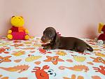     
: 20170416_142046.jpg
: 13
:	93.9 
ID:	12000009