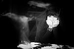     
: _MG_6638-Edit.jpg
: 19
:	58.9 
ID:	12000879