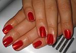     
: IMG_1565.JPG
: 14
:	136.3 
ID:	12001842