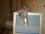     
: DSC00026.jpg
: 32
:	88.3 
ID:	1200282