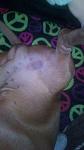     
: IMG_20170411_214603.jpg
: 9
:	46.2 
ID:	12004082