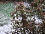     
: DSC04722.jpg
: 4
:	185.3 
ID:	12005117