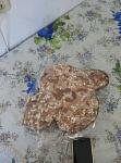     
: IMG_20170424_163349.jpg
: 45
:	86.1 
ID:	12012583