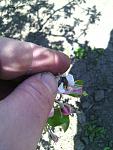     
: IMG_20170425_131459.jpg
: 42
:	79.4 
ID:	12014223