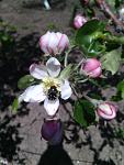     
: IMG_20170425_131303.jpg
: 40
:	74.0 
ID:	12014224