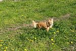     
: ub263lDkpI4.jpg
: 8
:	310.7 
ID:	12014907