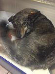     
: IMG_3044.jpg
: 19
:	76.7 
ID:	12021531