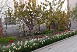     
: 20170429_192827.jpg
: 9
:	255.6 
ID:	12022857
