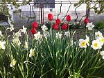     
: 20170429_185304.jpg
: 7
:	291.7 
ID:	12022858