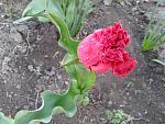     
: 20170429_185420.jpg
: 7
:	152.3 
ID:	12022859