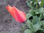    
: 20170429_185513.jpg
: 8
:	118.4 
ID:	12022862