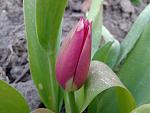     
: 20170429_185550.jpg
: 9
:	106.6 
ID:	12022863