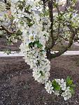     
: 20170429_190325.jpg
: 9
:	185.0 
ID:	12022864