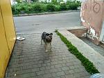     
: IMG_20170429_083332_HDR_новый разме&.jpg
: 56
:	202.3 
ID:	12022962