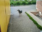     
: IMG_20170429_083327_HDR_новый разме&.jpg
: 45
:	182.6 
ID:	12022991