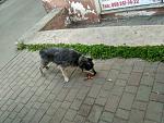     
: IMG_20170429_083355_HDR_новый разме&.jpg
: 43
:	225.0 
ID:	12022992